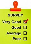 Annual Survey